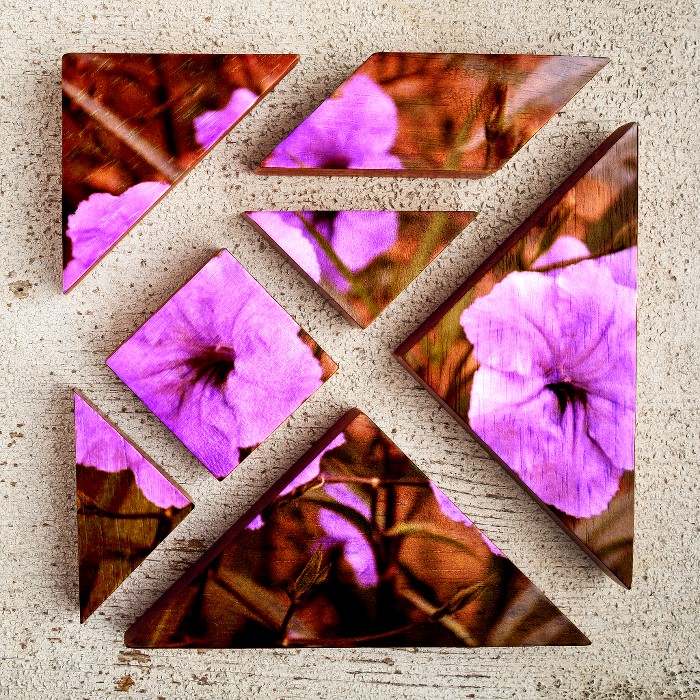 2016-11-11 Purple flowers pieces